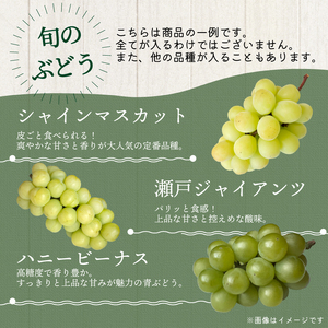 【 ぶどう 】 ぶどう 詰合わせ 2.4kg 2026年8月発送