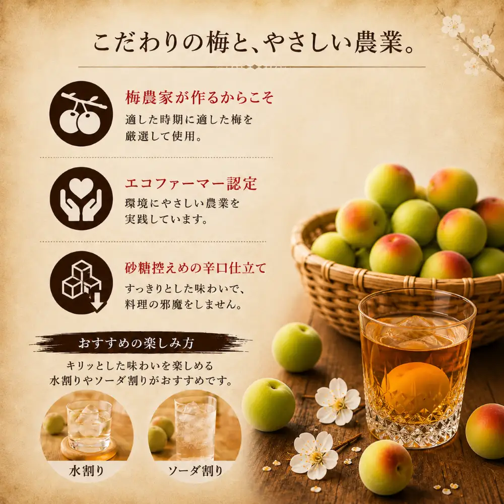 【ごちそうアワード2025 飲料部門 銀賞】 梅酒 治三郎 720ml 超辛口 うめしゅ 【梅酒】