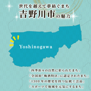 小梅干し ゆず味噌 はちみつ すだち果汁 すだちごまドレッシング 5種セット 《新・ヨッピーセット》