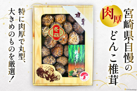 宮崎県産 乾椎茸 ギフト どんこ「M-30」 150g 肉厚