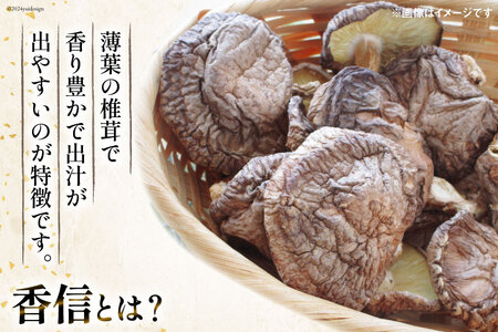 宮崎県産 乾椎茸 食べ比べ セット 天白 どんこ 80g 香信 40g 2種 合計120g 肉厚