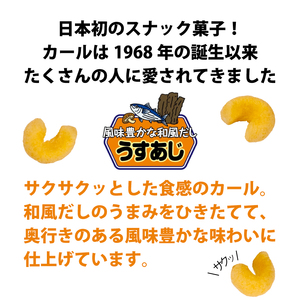 【数量限定】 カール うすあじ 10袋 ×3ケース │ スナック菓子 西日本限定 まとめ買い お菓子 おつまみ イベント パーティー 明治 meij 愛媛県 松山市 【SNE008_x041】
