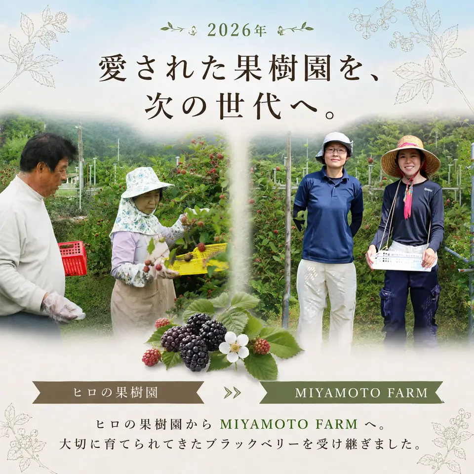 【ふるさと納税】＜【加工用・訳あり】冷凍ブラックベリー約1.5kg＞ふるーつ fruit ヒロの果樹園からMIYAMOTOFARM が受け継ぎました 冷凍フルーツ フローズン スムージー チャック付き袋入り 家庭用 高知県 佐川町 （栽培期間中 化学農薬化学肥料不使用）