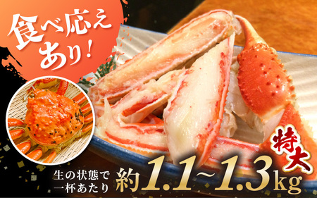 【先行予約】越前がに 特大 (茹で前1.1～1.3kg) × 2杯 【2027年2月上旬以降順次発送予定】越前がに [m17-x004_02] 