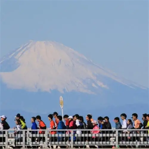 【フルマラソン出走権】福原有信杯 第47回館山若潮マラソン大会フルマラソン出走権(無料駐車券1枚付)【1533165】