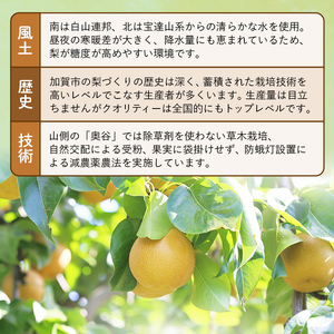 【先行予約】梨 加賀しずく 1箱（6個～10個）石川県加賀市産（2026年8月下旬～9月中旬頃発送） かがしずく ブランド梨 石川県 先行予約 予約 冷蔵配送 くだもの 果物 フルーツ ご当地 食品 災害支援 北陸新幹線 F6P-1951