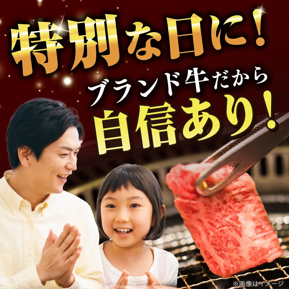 【全3回定期便】五島牛焼肉セット 肩ロース バラ 700g 約4人前[RAT006] 肉 焼肉 牛肉 五島牛 切り落とし 定期便 肉 焼肉 牛肉 五島牛 切り落とし 定期便九州 長崎