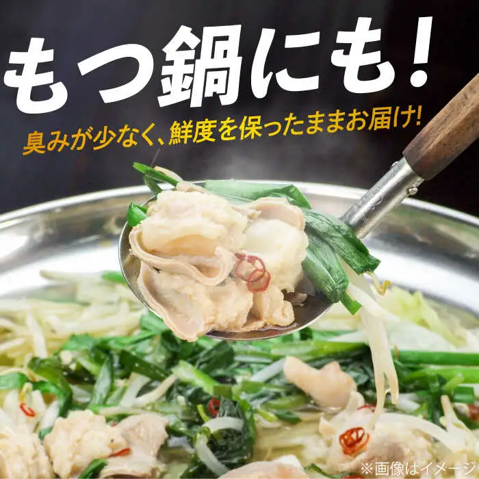 【脂が甘くてぷりっぷり！】佐賀牛ホルモン 焼肉用 小腸 500g（250g×2）味付けなし 吉野ヶ里町/やきとり紋次郎[FCJ089]