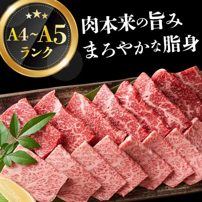 焼肉用 A4-A5 長崎和牛 焼肉用 500g   [DBS001]