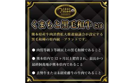 FKK19-936_ 【厳選希少部位】【A4～A5】 くまもと黒毛和牛ミスジステーキ 約500g（100g×5）