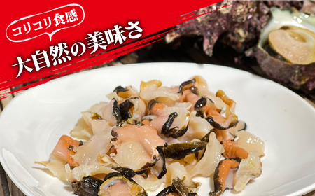 新上五島町産活サザエ 殻付き1kg+殻付き1kg分スライス[RBK002] さざえ サザエ 海鮮 さざえ サザエ 海鮮 さざえ サザエ 海鮮 さざえ サザエ 海鮮 さざえ サザエ 海鮮九州 長崎