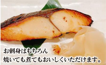 新上五島町産養殖ヒラマサ（ヒラス）1本[RBP005] ヒラマサ ヒラス ヒラマサ ヒラス ヒラマサ ヒラス ヒラマサ ヒラス ヒラマサ ヒラス ヒラマサ ヒラス ヒラマサ ヒラス九州 長崎