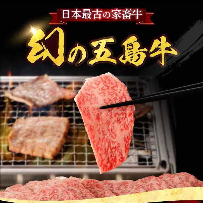 五島牛サーロインステーキ 牛肉 約200g×3枚[RBP008] 五島牛 サーロインステーキ 五島牛 サーロインステーキ 五島牛 サーロインステーキ 五島牛 サーロインステーキ九州 長崎