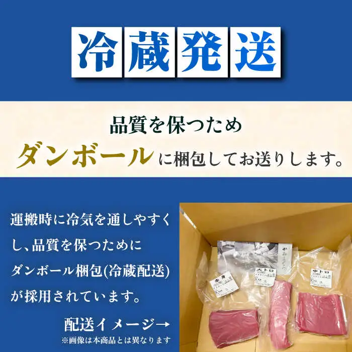 【全3回定期便】五島列島産養殖生本かみまぐろ 赤身 500g[RBP061] 本マグロ 本まぐろ 定期便 本マグロ 本まぐろ 定期便 本マグロ 本まぐろ 定期便九州 長崎
