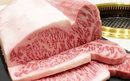 長崎和牛（A4ランク以上）サーロインステーキ1.2kg（240g×5枚）[RCE002] 長崎和牛 サーロイン ステーキ 長崎和牛 サーロイン ステーキ九州 長崎