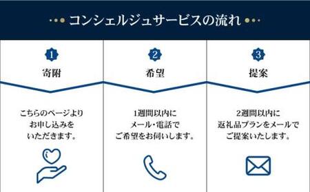 返礼品おまかせ！寄附額50万円コース[RZZ002] あとから コンシェルジュ あとから コンシェルジュ あとから コンシェルジュ あとから コンシェルジュ あとから コンシェルジュ九州 長崎