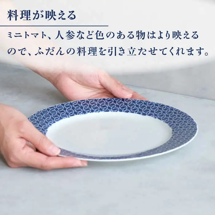 【波佐見焼】dye8号リムプレート 25cm皿 ラウンド柄 2点セット【西海陶器】[OA389]