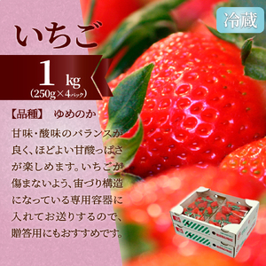 【ふるさと納税】＜フルーツ 定期便（全３回）＞ いちご 土佐文旦 梨 fruit 苺 おすすめ フレッシュ 旬 果物 くだもの 高知県 佐川町産【常温】【冷蔵】