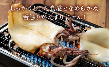 【全2回定期便】剣先 イカ 刺身 セット 1kg [WAD051]あかいか まるいか