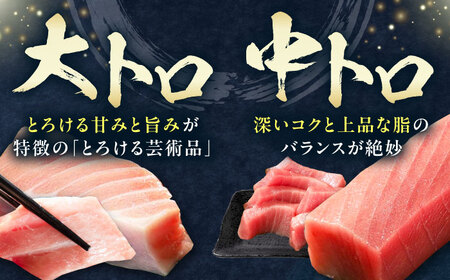 【全2回定期便】対馬産 本マグロ 4種 計1kg（赤身/中トロ/大トロ/ネギトロ） [WAH030] マグロ 赤身 中トロ 大トロ ネギトロ 