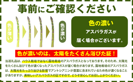 【TVで紹介！】名寄 アスパラガス Lサイズ(800g) アスパラ 先行予約 ≪2027年出荷≫