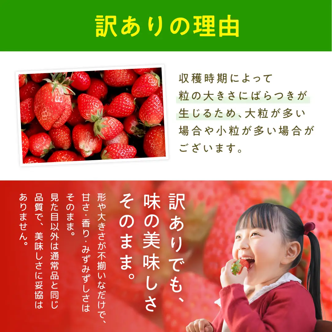 【 先行予約 】 訳あり いちご いばらキッス 800g 【 2027年2月以降発送 】  （常陸太田市 共通返礼品 ) 