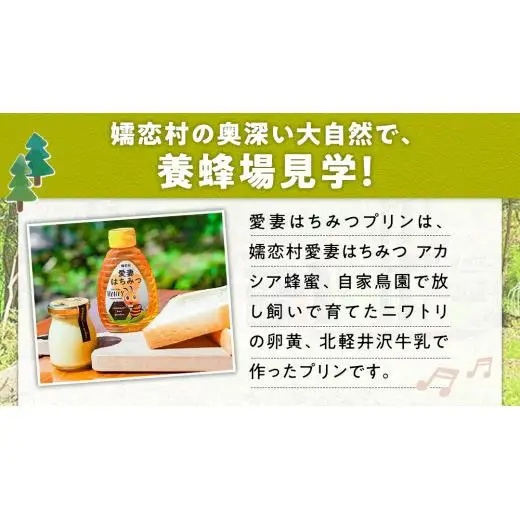 つまごいビーガーデン 養蜂場 見学プラン (1名) 養蜂場見学ツアー [AC008tu]