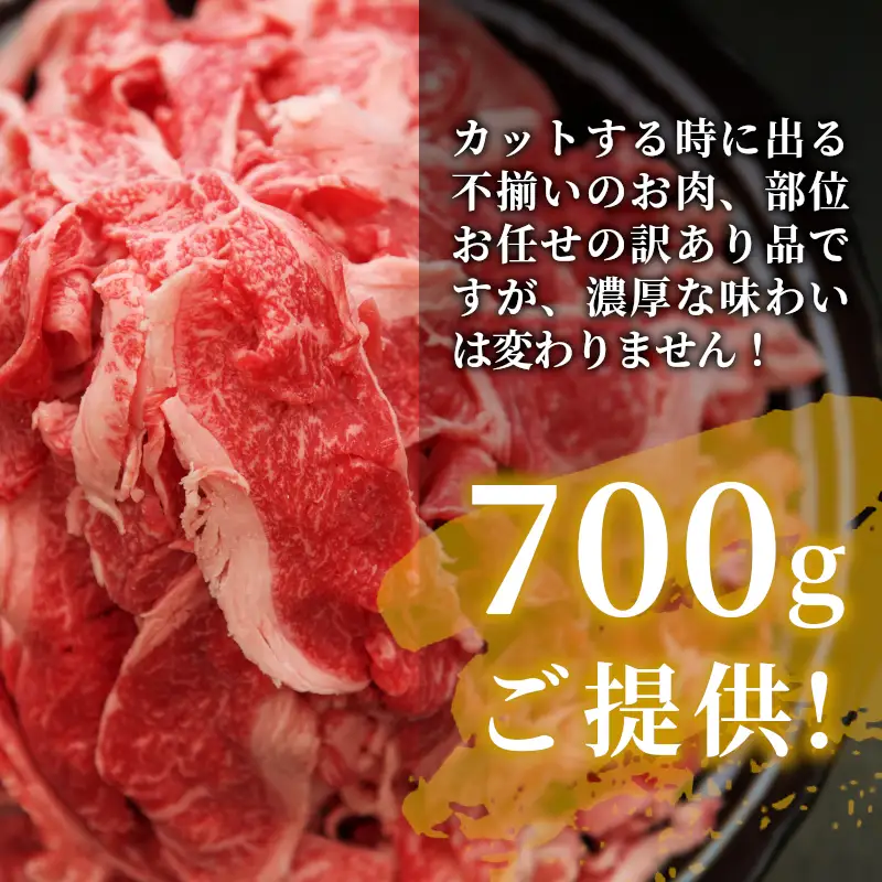 【最短発送】 飛騨牛 切り落とし 700g 牛肉 切り落し 切落し こま切れ 肉 牛 肉じゃが すき焼き しゃぶしゃぶ 養老ミート 10000円 一万円
