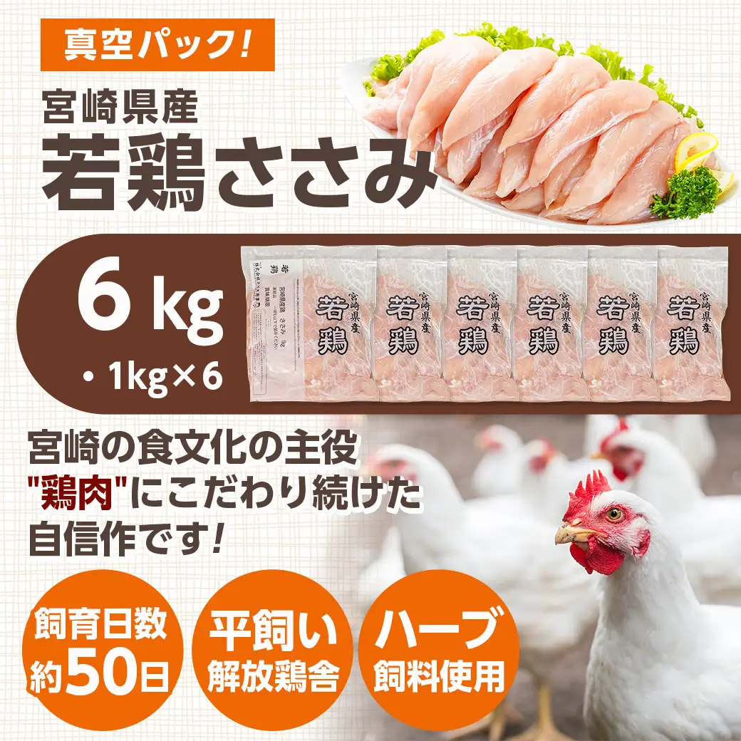 宮崎県産若鶏 ささみ(6kg)〔13-G301〕_(都城市) 若鶏 鶏肉 真空 ささみ 宮崎県 平飼い ハーブ ふっくら ジューシー サラダ メイン 冷凍 便利 保水性 やわらか 冷凍 便利 保水性 やわらか ふっくら ジューシー