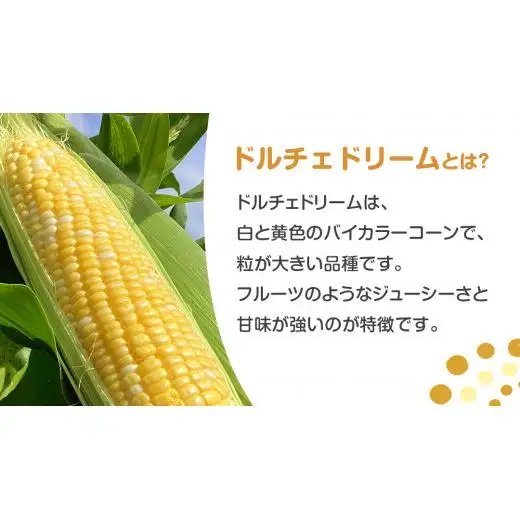 【 7月中旬発送開始 】 嬬恋産 とうもろこし ドルチェドリーム 約10kg (18～22本L～3L混在） トウモロコシ 大粒 野菜 群馬 産地直送 期間限定 お取り寄せ [AT003tu]