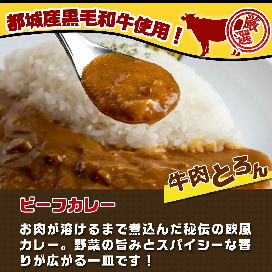 カレー倶楽部ルウ☆チキン南蛮カレー5食セット〔AA-2710〕_(都城市) ビーフカレー(180g×5パック) チキン南蛮(130g×5パック) チルド食品 湯せん キャンプ/BBQ