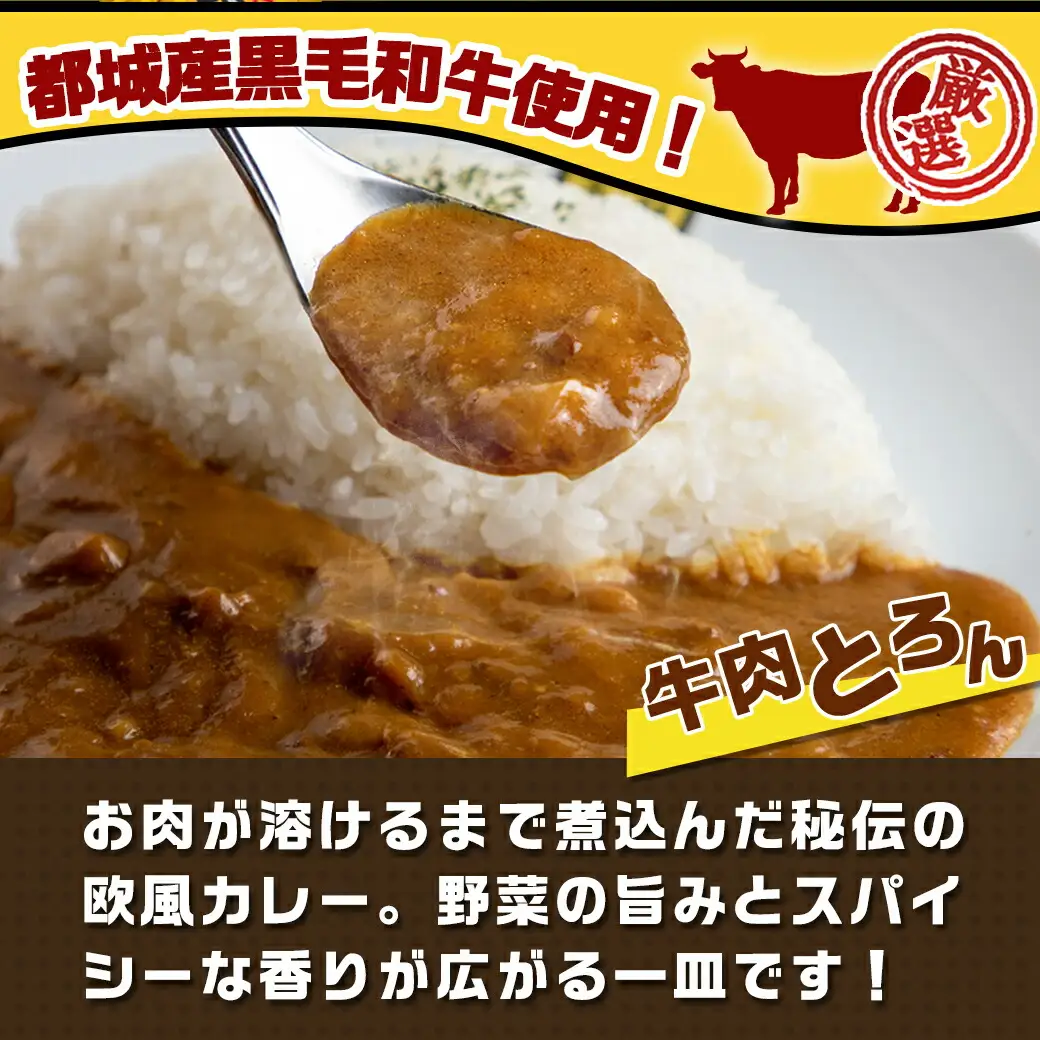 カレー倶楽部ルウ☆厳選ビーフカレー40食セット〔AD-2705〕_(都城市) ビーフカレー 180g×40P 都城産黒毛和牛使用 チルド食品 湯せん カレー カレー専門店 キャンプ/BBQ
