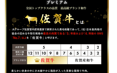 【訳あり】佐賀牛ヒレサイコロ 600g / 牛肉 ブランド牛 / 佐賀県 / ふるさとの恵み（MM） [41AQAA018]