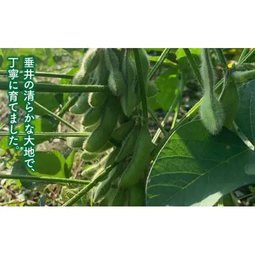 大豆（フクユタカ） 3kg（500ｇ×6袋）