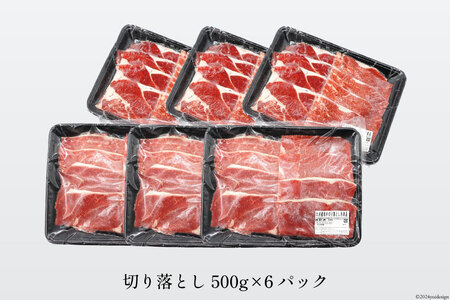 牛肉 訳あり 日本ハム 九州産 和牛 切り落とし 500g 6p 計 3kg