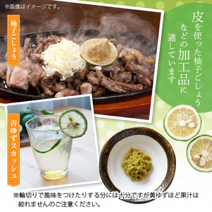 訳あり 青ゆず 生果実 たっぷり5㎏ 5kg 40個程度 特産品 ゆず 果汁 さわやか 風味 小ぶり 皮 柚子ごしょう 加工品づくり 青ゆずスカッシュ 輪切り 風味付け 柑橘 果実 フルーツ 豊か 自然 恵み 澄んだ空気 おいしい水 お取り寄せ 福岡県 上毛町 送料無料 _MM0206