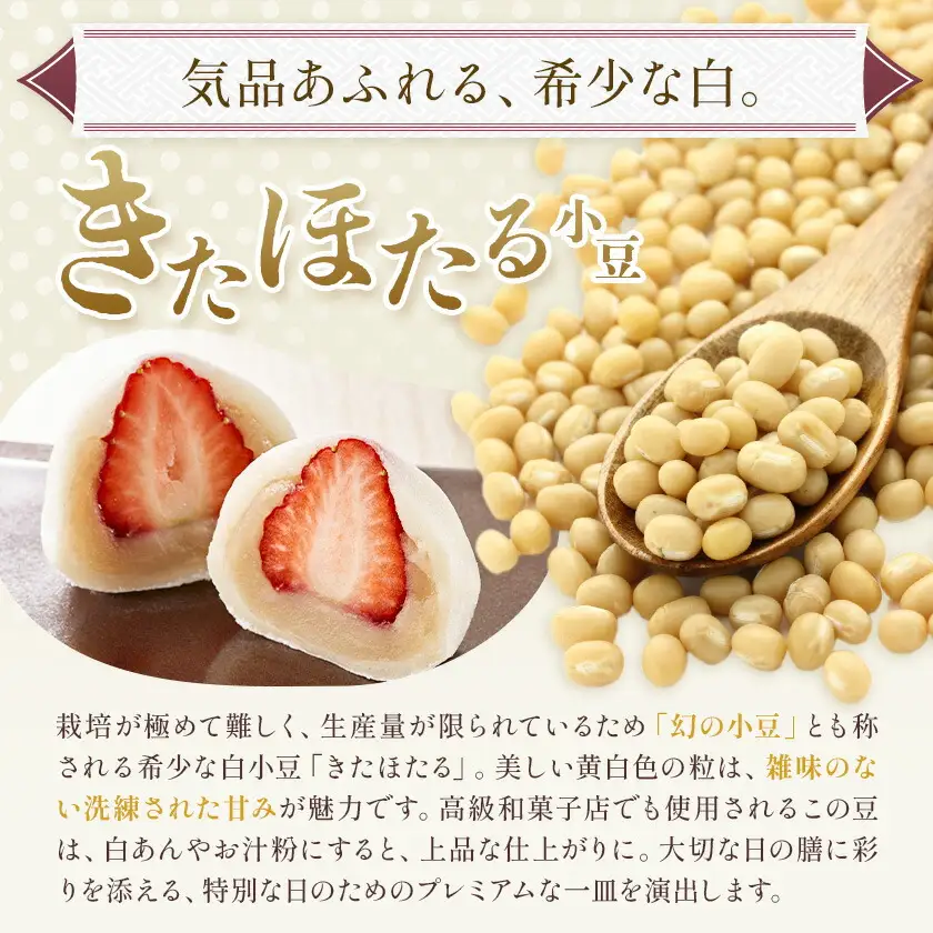 十勝とよころの小豆 きたほたる小豆 白小豆 3.2kg 山本農場《30日以内に出荷予定(土日祝除く)》