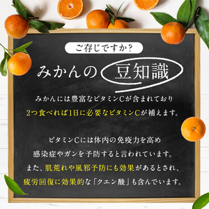 訳あり みかん 約10kg ｜iFARM岩城農園