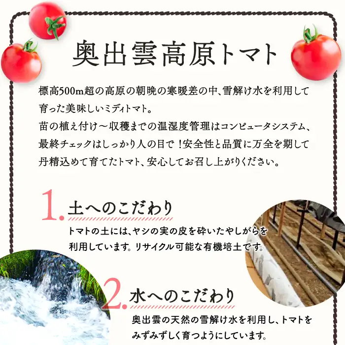 世界基準の奥出雲高原ミディトマト1.3kg（中玉サイズ）【トマト とまと 野菜 ミディトマト 1.3kg 中玉 厳選 新鮮 健康 美容 安心 安全 美味しい サラダ シンディースィート リコピン やさい】
