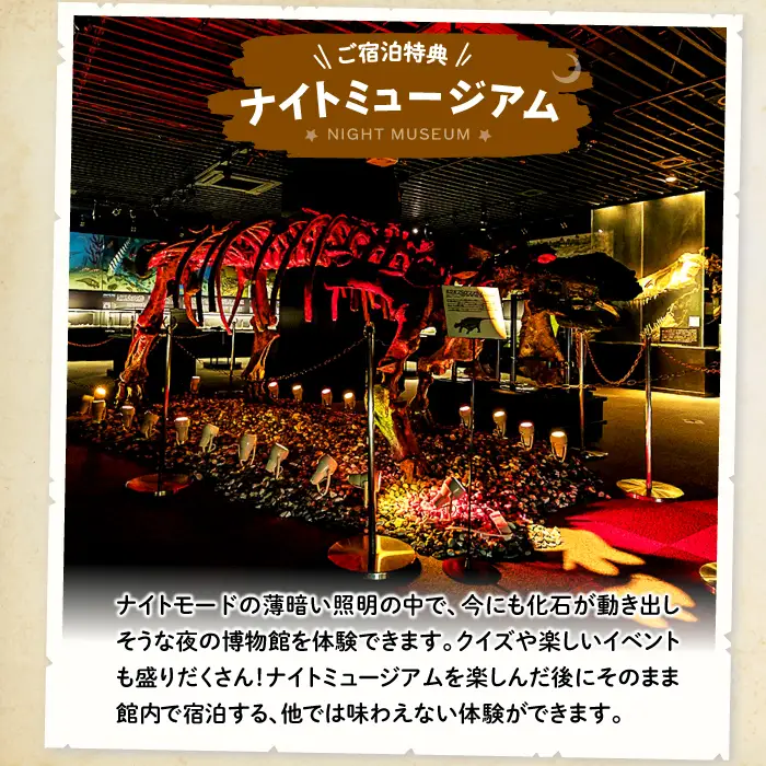 泊まれる博物館｢1泊朝食付き宿泊券｣1名様【宿泊券 宿泊 旅行券 温泉 観光 旅行 旅 1食付き 朝食付き 1名様 恐竜 博物館 天然温泉 入浴券 温泉 トラベル 体験 チケット 島根県 奥出雲町】