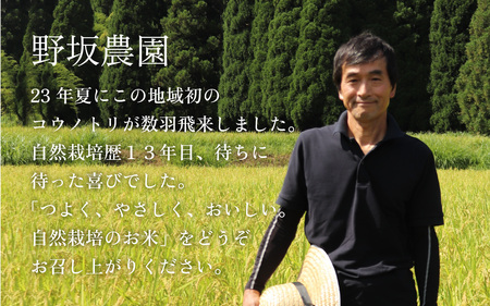 【先行予約】令和７年産 新米 自然栽培米 永平寺町産 コシヒカリ 白米 5kg 11月上旬順次配送予定 無農薬 化学肥料 除草剤 不使用 福井県 永平寺 