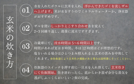 【先行予約】令和７年産 新米 自然栽培米 永平寺町産 コシヒカリ 玄米 10kg 11月上旬順次配送予定 無農薬 化学肥料 除草剤 不使用 福井県 永平寺 