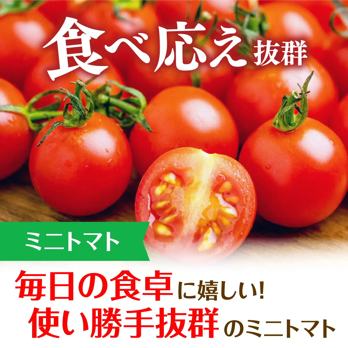先行予約 ミニトマト 2種セット 総計4.5kg [QBG004]