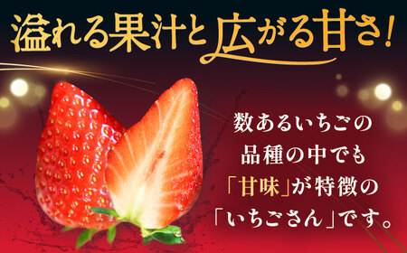 【2027年2月下旬発送】いちごさん 約1kg（約250g×4パック） / 佐賀県 / リフルット株式会社 [41ABAA001]