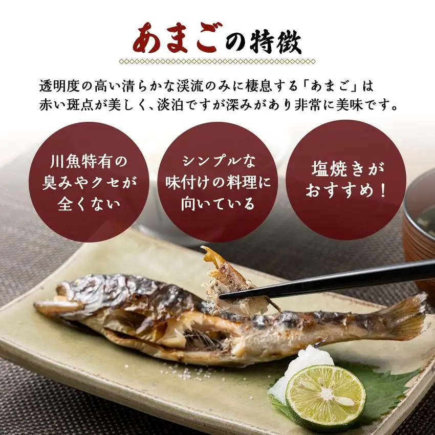 冷凍あまご10尾セット（串付き） [016-a004]