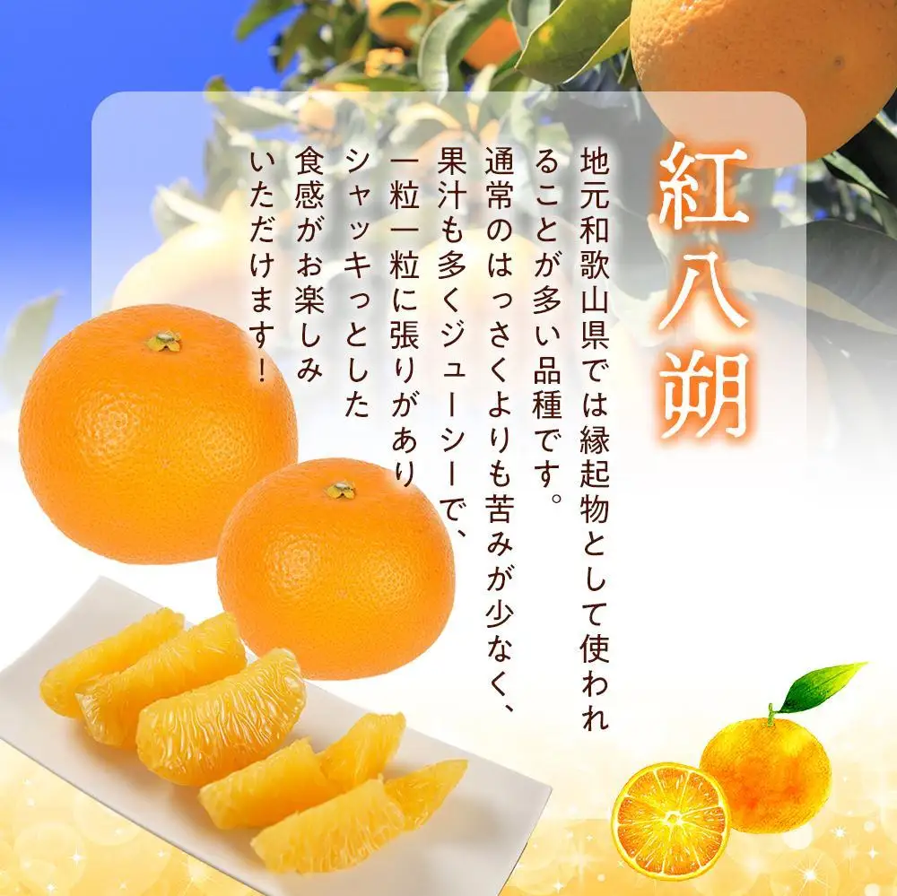 先行予約！希少な紅はっさく 12～18個入り（L～2Lサイズ）［2027年2月初旬頃から発送］［KG9］