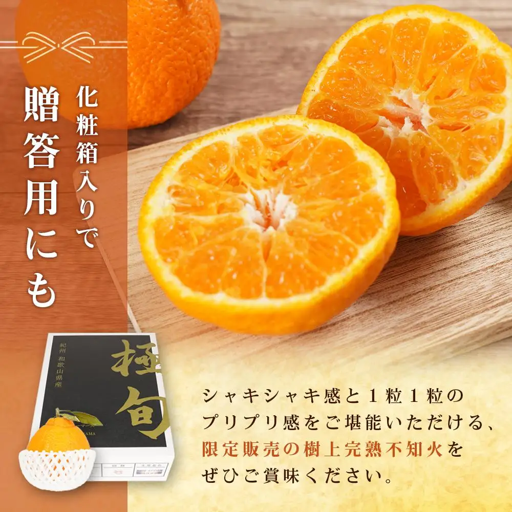 ［贈答用化粧箱入］ 不知火 樹上完熟 約2kg （5～8個入）［2027年2月末頃から3月末頃発送］［KG10］