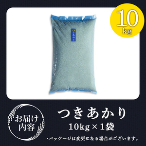 【令和8年産 新米】＜先行予約受付中！R8年9月下旬から順次発送予定＞つきあかり 10kg お米 おこめ 米 コメ 白米 ご飯 ごはん おにぎり お弁当【赤間農業開発株式会社】ta460