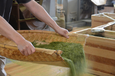 山一特選棒茶100g×5袋＋1袋 (a12-047)