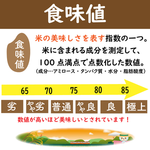 お米 コシヒカリ 5kg 令和8年産 【 米 】